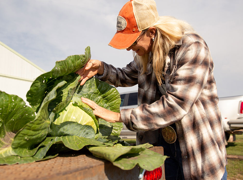 A woman with blonde hair is looking at fresh green lettuce at the back of a truck.
